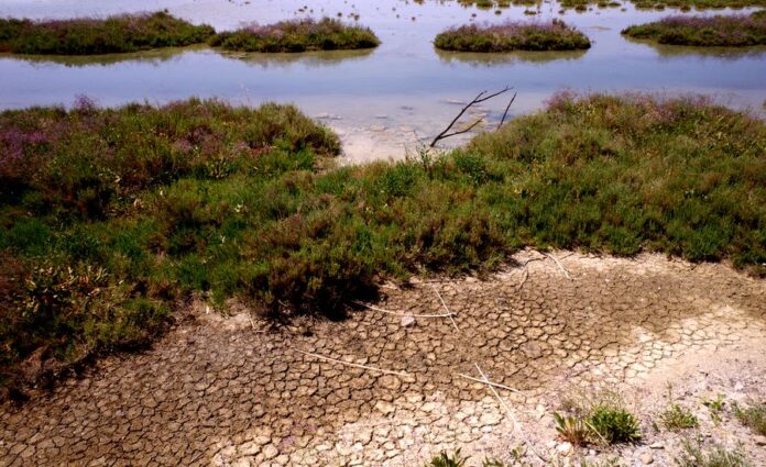 jezero